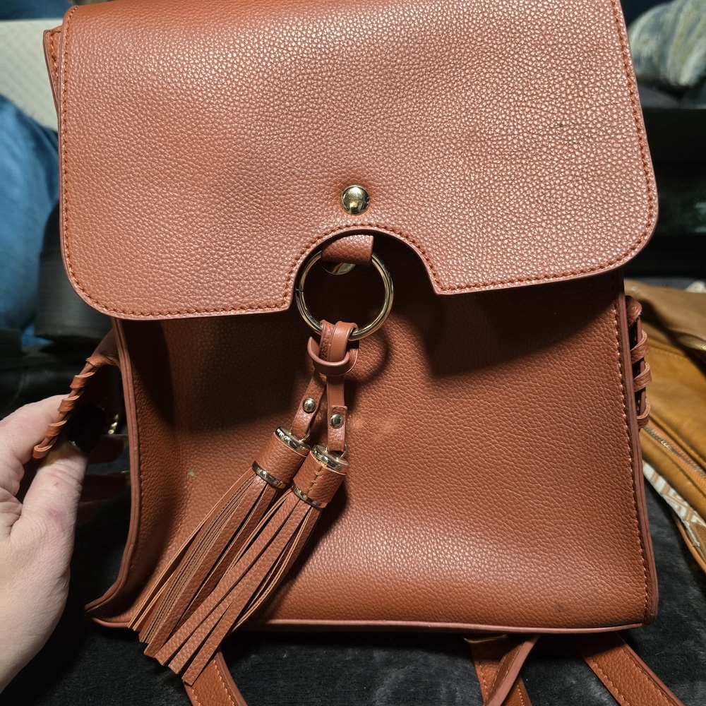 Elegant Tan Backpack with Tassel Accents